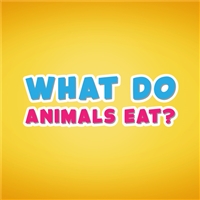play What do animals eat game
